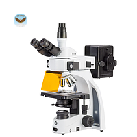 Kính hiển vi huỳnh quang ba mắt Oxion Euromex OX.3235/560 (HWF 10x/22 mm, 4/10/S40/S100x, 560 nm FluoLED)